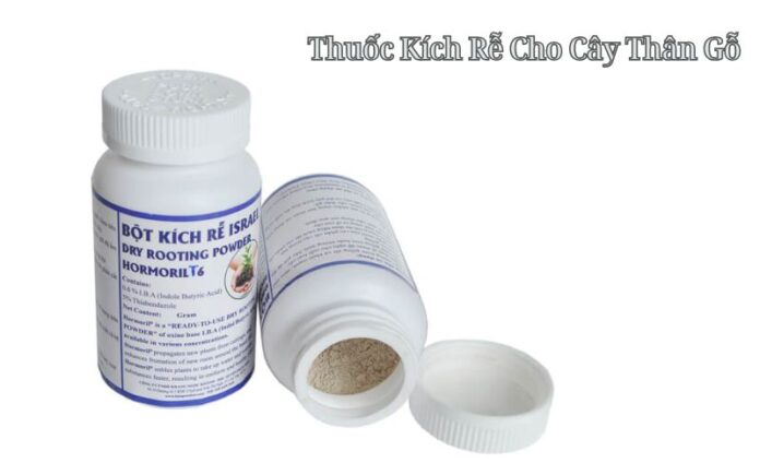 Thuốc Kích Rễ Cho Cây Thân Gỗ